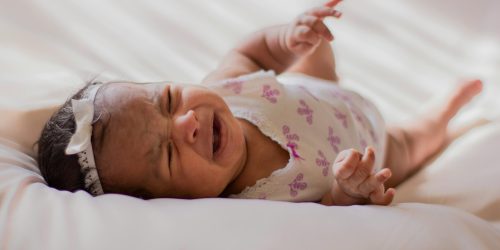 pexels-laura-garcia-1667452-3963711